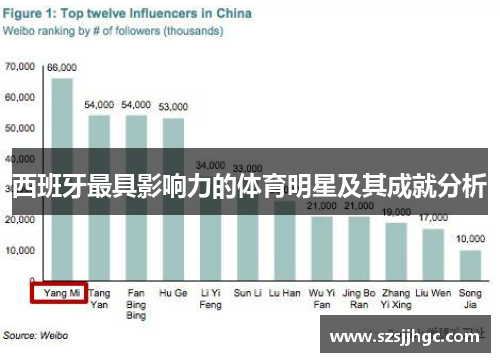西班牙最具影响力的体育明星及其成就分析